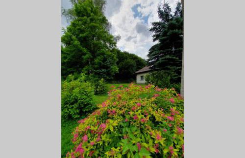 Bieszczadzki Zakątek - Foto 16