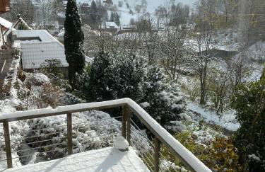 Ferienhaus Le Bain du Corbeau - inklusive Gratis-Eintritt zu 80 touristischen Highlights im Schwarzwald - Foto 10
