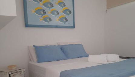 Studio Napraia - Foto 4