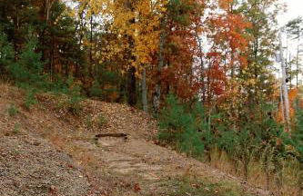 Arch Fun Cabin - Modern Cabin with Hot Tub, Games & Views - Foto 68