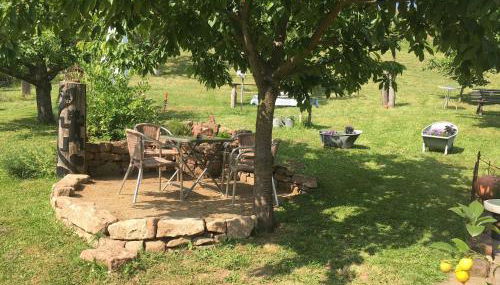 FEWO Odenwald - Anna - Photo 5, Garden