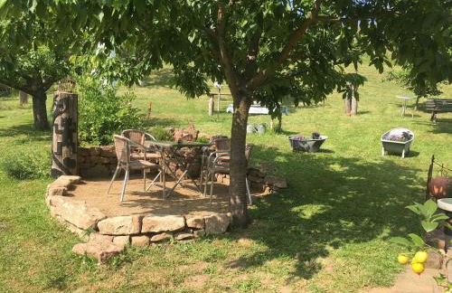 FEWO Odenwald - Anna - Photo 5