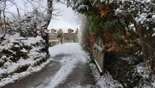 Mwsogl - Luxurious Family Fishing Lodge Near Aberaeron With Private Fishing - Foto 3