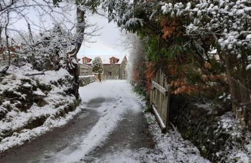 Mwsogl - Luxurious Family Fishing Lodge Near Aberaeron With Private Fishing - Photo 3