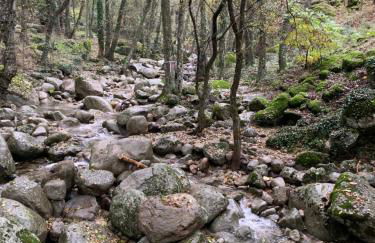 El Refugio de Felix - Photo 70