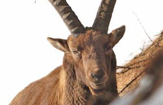 Casa Le Rondini - Photo 69