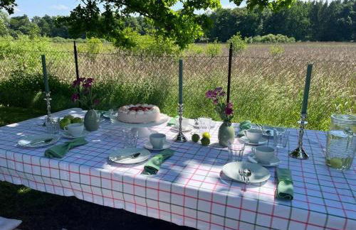 Idylisches Cottage mit Reh - Foto 25