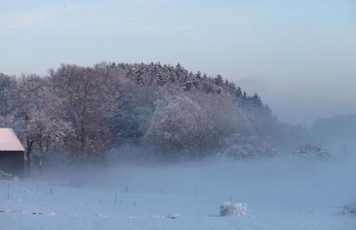 Molehill Shire - Foto 31