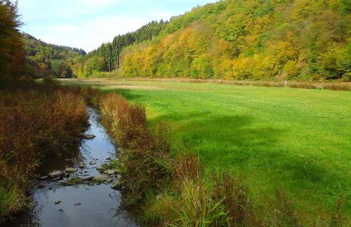 Ferienwohnung Klein am Natursteig Sieg - Foto 18