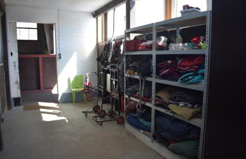 Idylle auf dem Reiterhof bei Husum - Foto 22