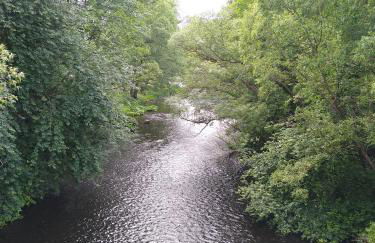 Ferienwohung Stelldichein - Foto 26