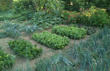 Agriturismo Zì Carmine - Foto 12