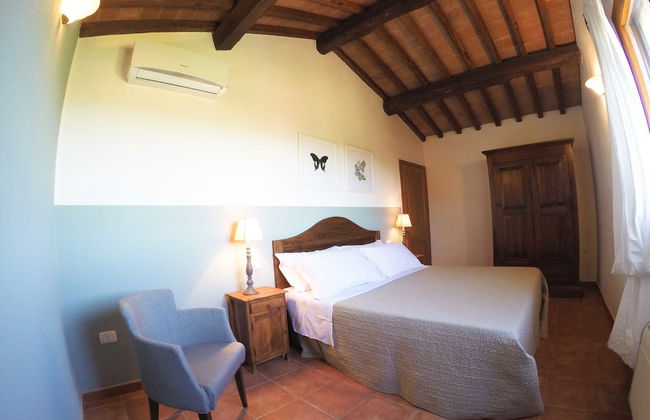 Boschi di Montecalvi - Foto 19