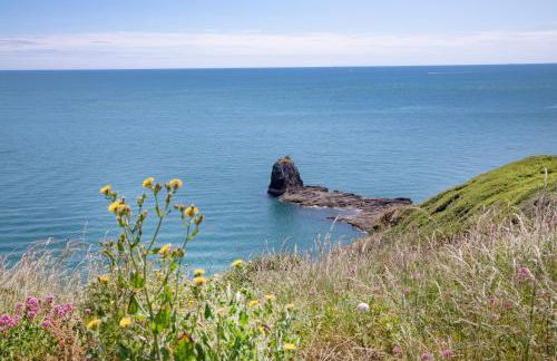 Cheerful holiday home at Landscove Holiday Park in Brixham - Foto 43
