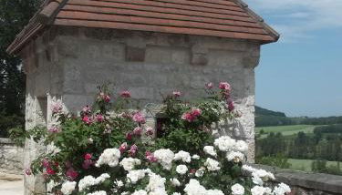 Chateau de Lamothe d'Anthe - Foto 5