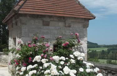 Chateau de Lamothe d'Anthe - Foto 5