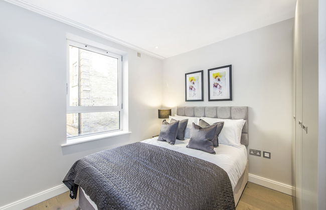 Lux St James Park Apartment Central London FREE WIFI by City Stay Aparts London - Foto 4