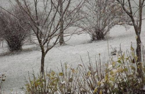 Gîte confortable en montagne avec terrasse, idéal pour rando et cure, proche de Plombières-les-Bains - FR-1-589-172 - Foto 10