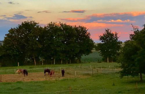 Ferienwohnung Zweinig02 - Foto 19