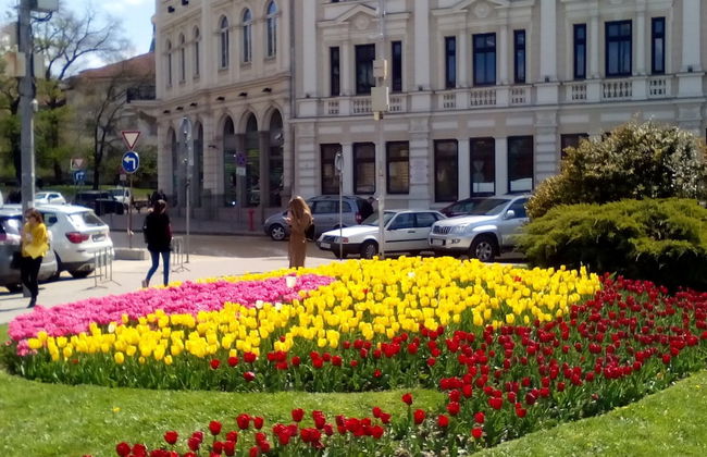 Noi Parliamo Italiano Apartamento - Photo 27