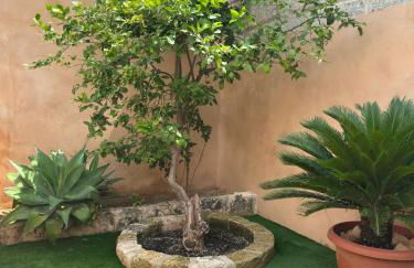 Can Vilàs - Foto 56