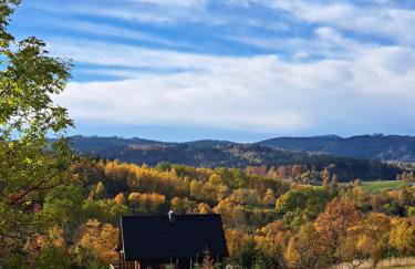 Osada Sierpnica - Uroczy dom z kominkiem i balią w Górach Sowich - Foto 2