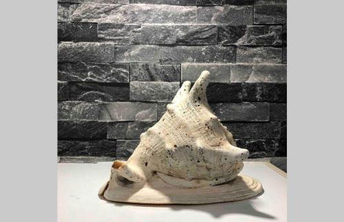 CockleDora, A Luxury Ground Floor Beachfront Apartment - Foto 41