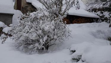 Joli petit appartement au calme - Foto 4