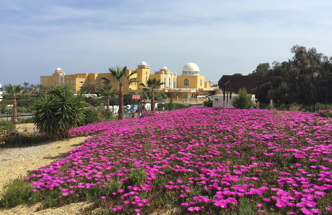 Apartamento Altos E2-1C - Photo 22