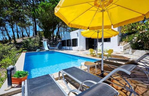 Quinta da Tranquilidade - Foto 2