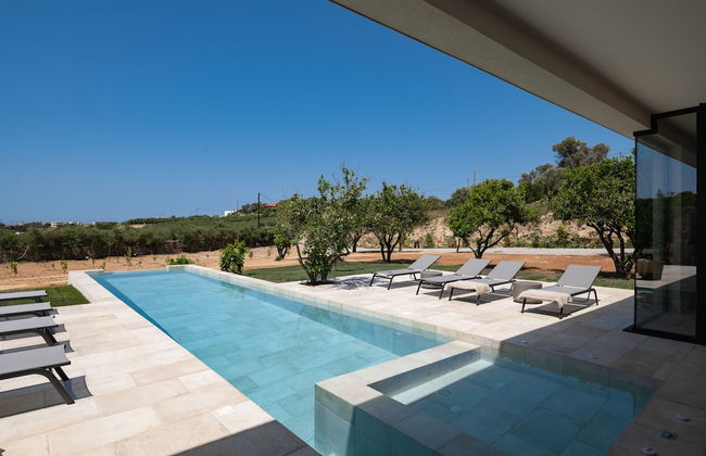 Citrus Grove - Foto 23