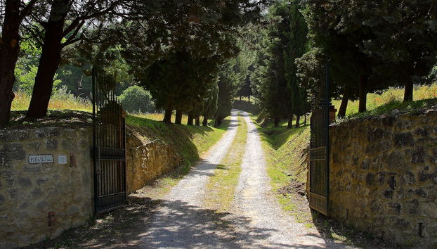 Borne des arrivées/des départs