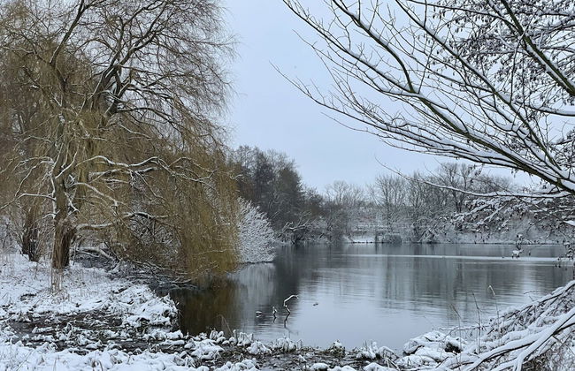 Flat in Eutin on the Kleiner Eutiner See Lake - Photo 21