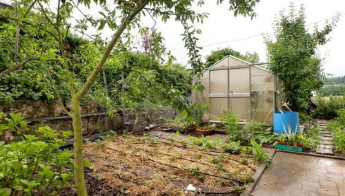 Landpension Wachtkopf - Foto 3