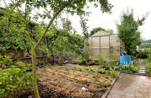 Landpension Wachtkopf - Foto 3