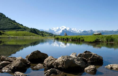 PICARON A13 - Foto 20