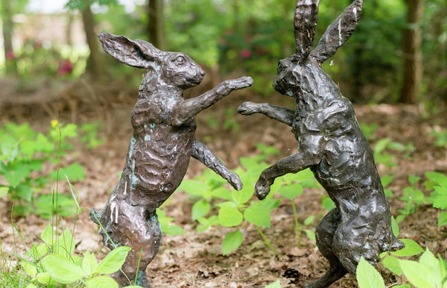 Cozy Countryside Escape in Dalfsen - Photo 21