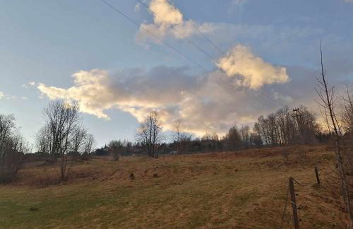 Olberówka - Foto 22