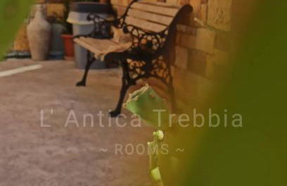 L' Antica Trebbia - Rooms - Foto 14