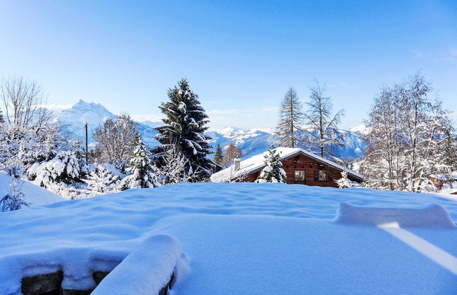 Chalet Petit Pont - Photo 46