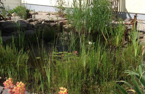 Ferienwohnung Zimmermann - Foto 39