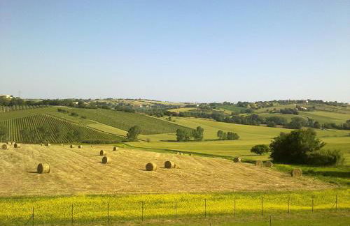 Agriturismo bio Verde Armonia - Photo 43