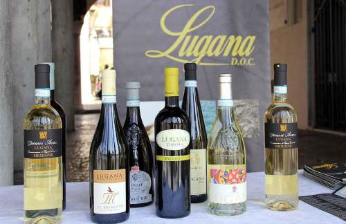 DISCOVERY FLAT with pool & bikes - Foto 53