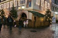 Sandhaasenblick - Foto 13