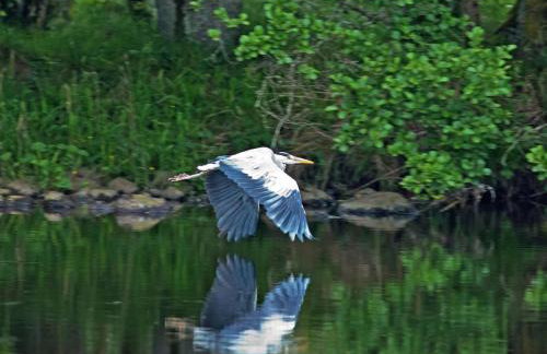 Holiday Home Isle of Skye by Interhome - Foto 17