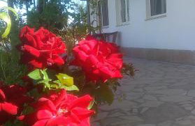 Apartments Nena - Foto 34