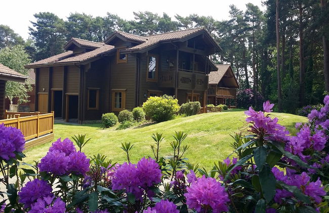 The Dorset Resort - Foto 14