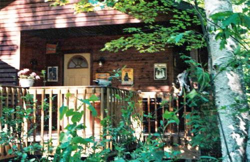 Cabin Surrounded by Sublime Nature near Lake Huron, Michigan - Foto 1