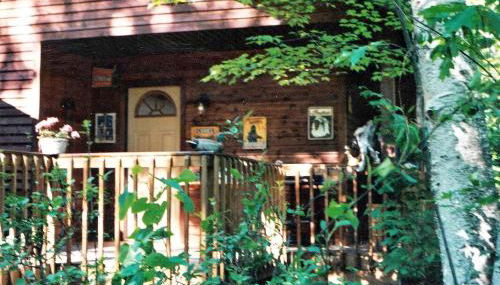 Cabin Surrounded by Sublime Nature near Lake Huron, Michigan - Foto 1