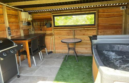 Pembrokeshire Shepherd hut with hottub - Foto 18
